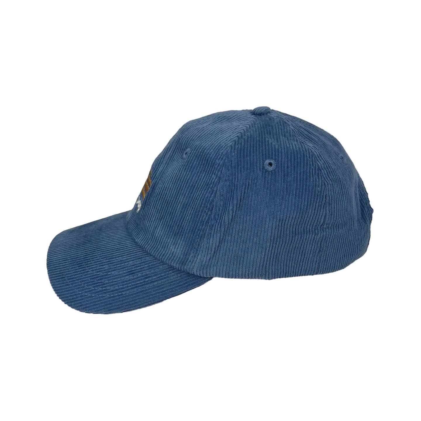Rad Pop Blue Cord Cap