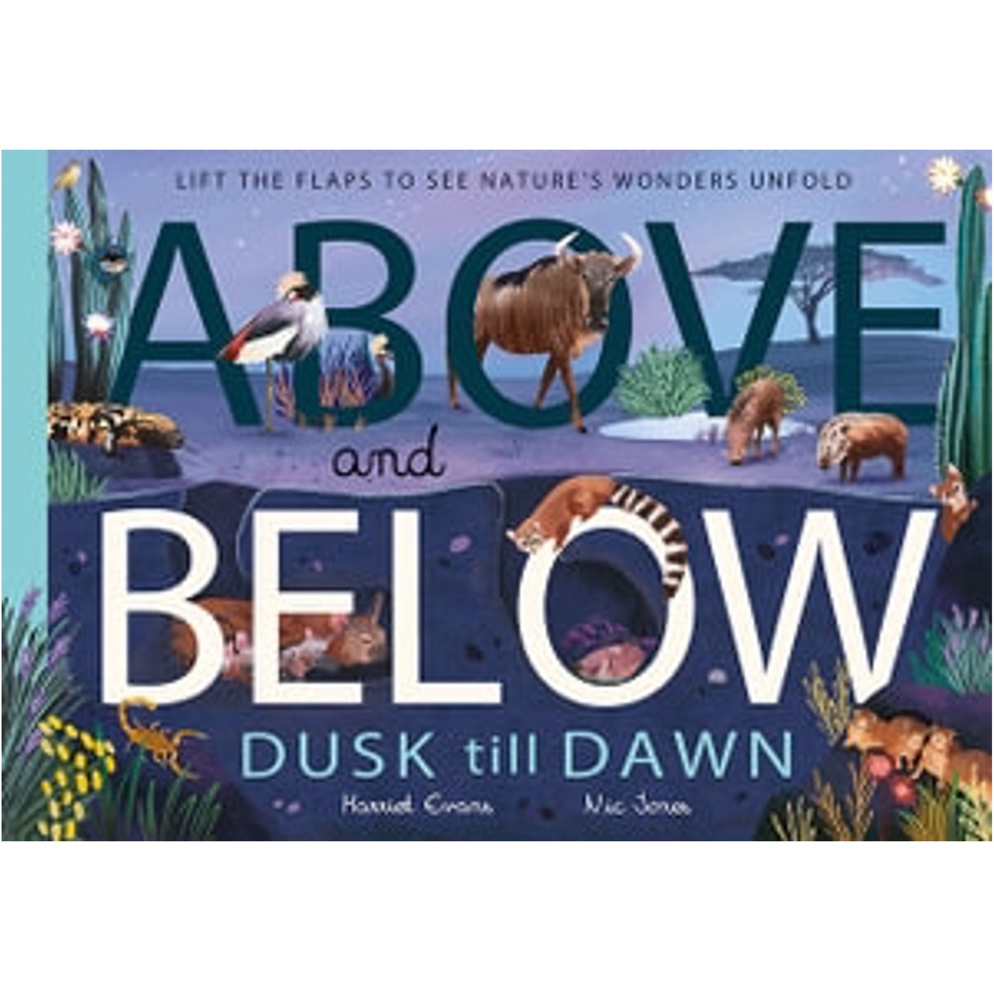 Above and Below: Dusk till Dawn