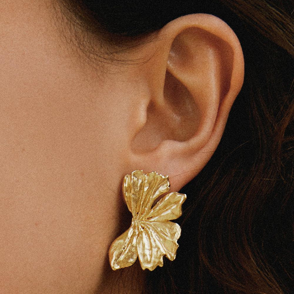 Donis Large Earrings