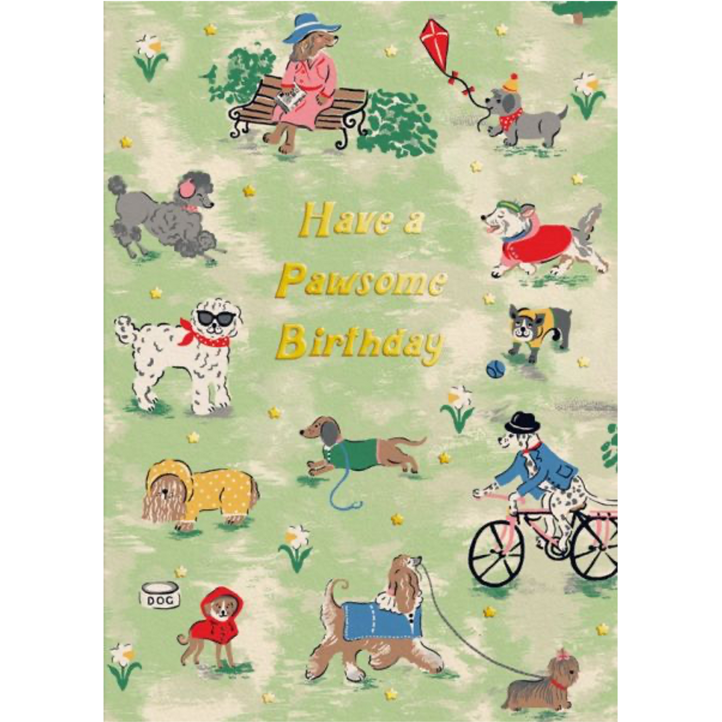 Dog Park Birthday Greeting Card