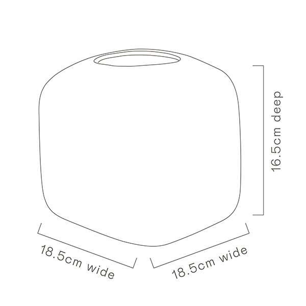 Old Man Banksia Cube Vase