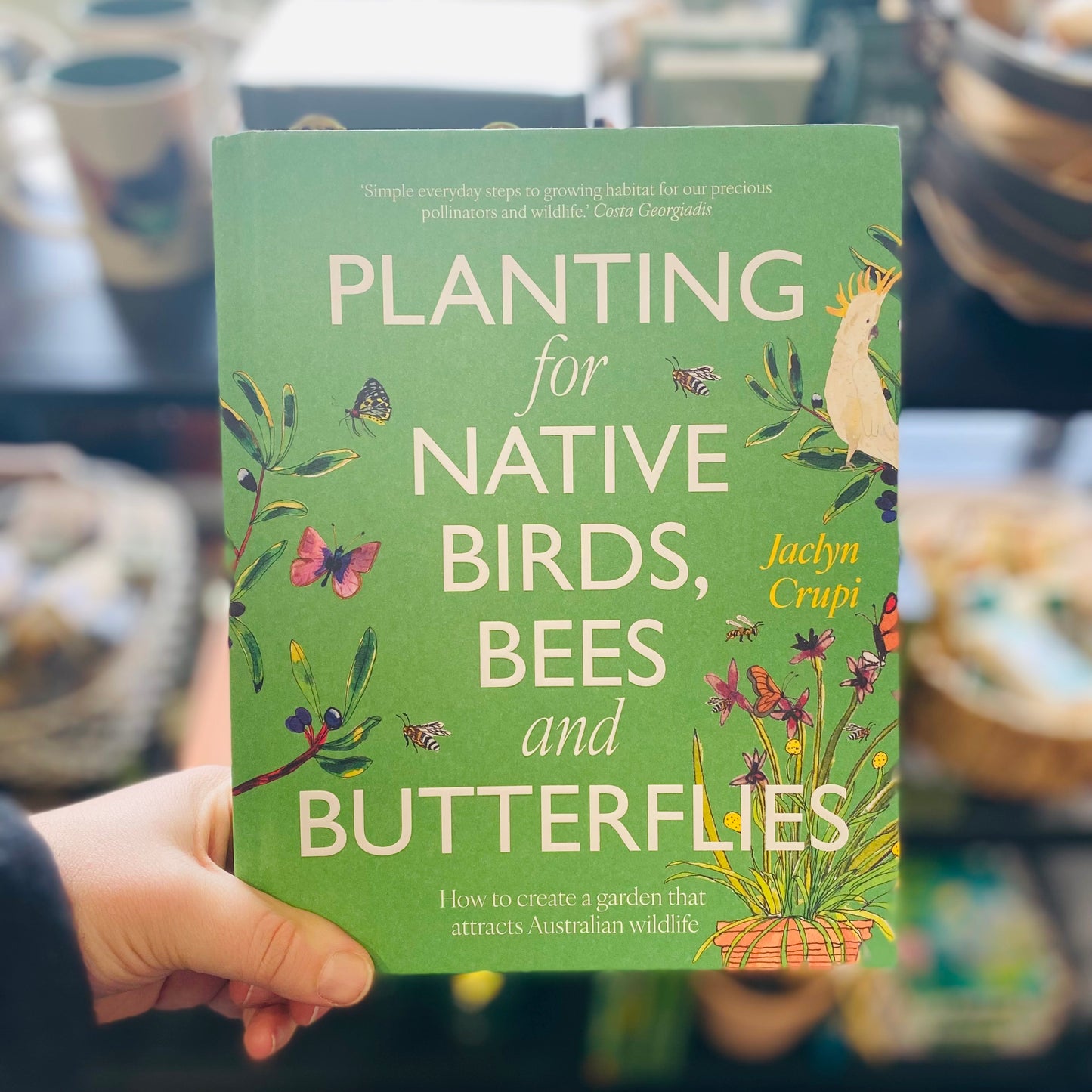 Planting for Native Birds, Bees and Butterflies