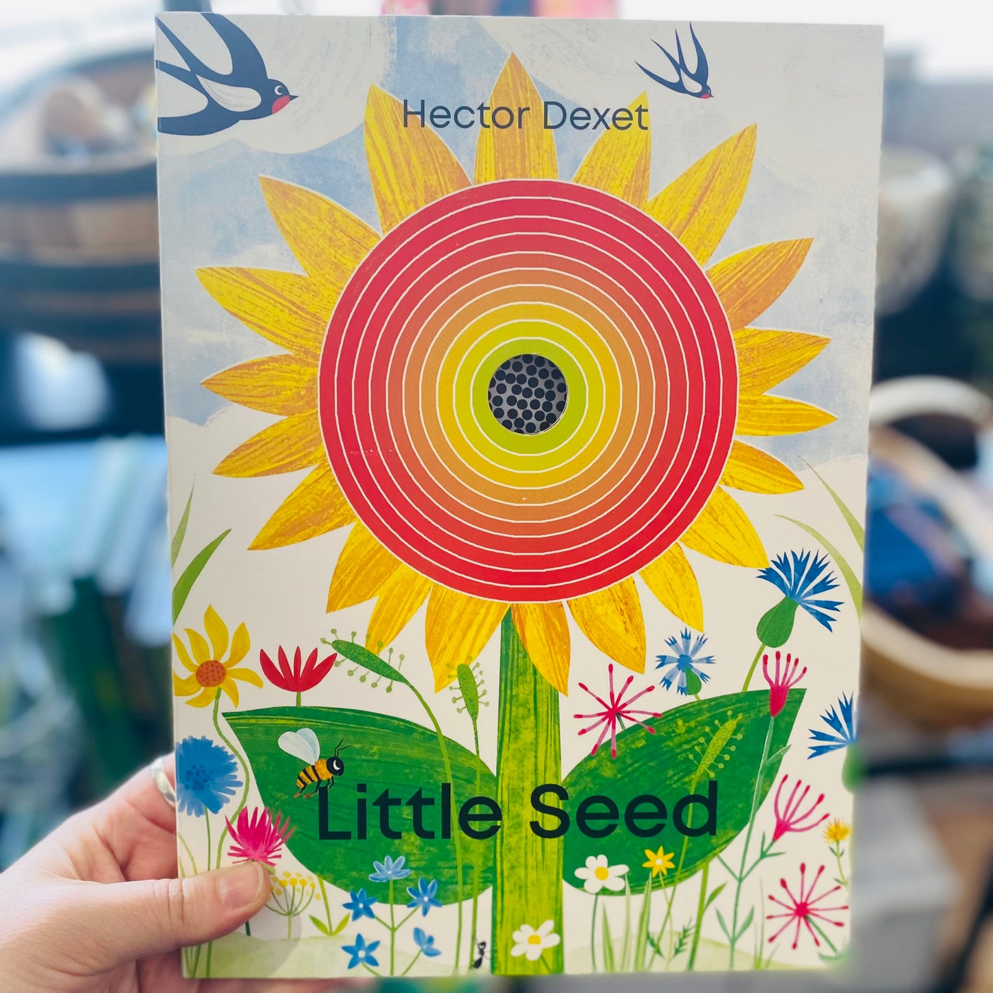 Little Seed