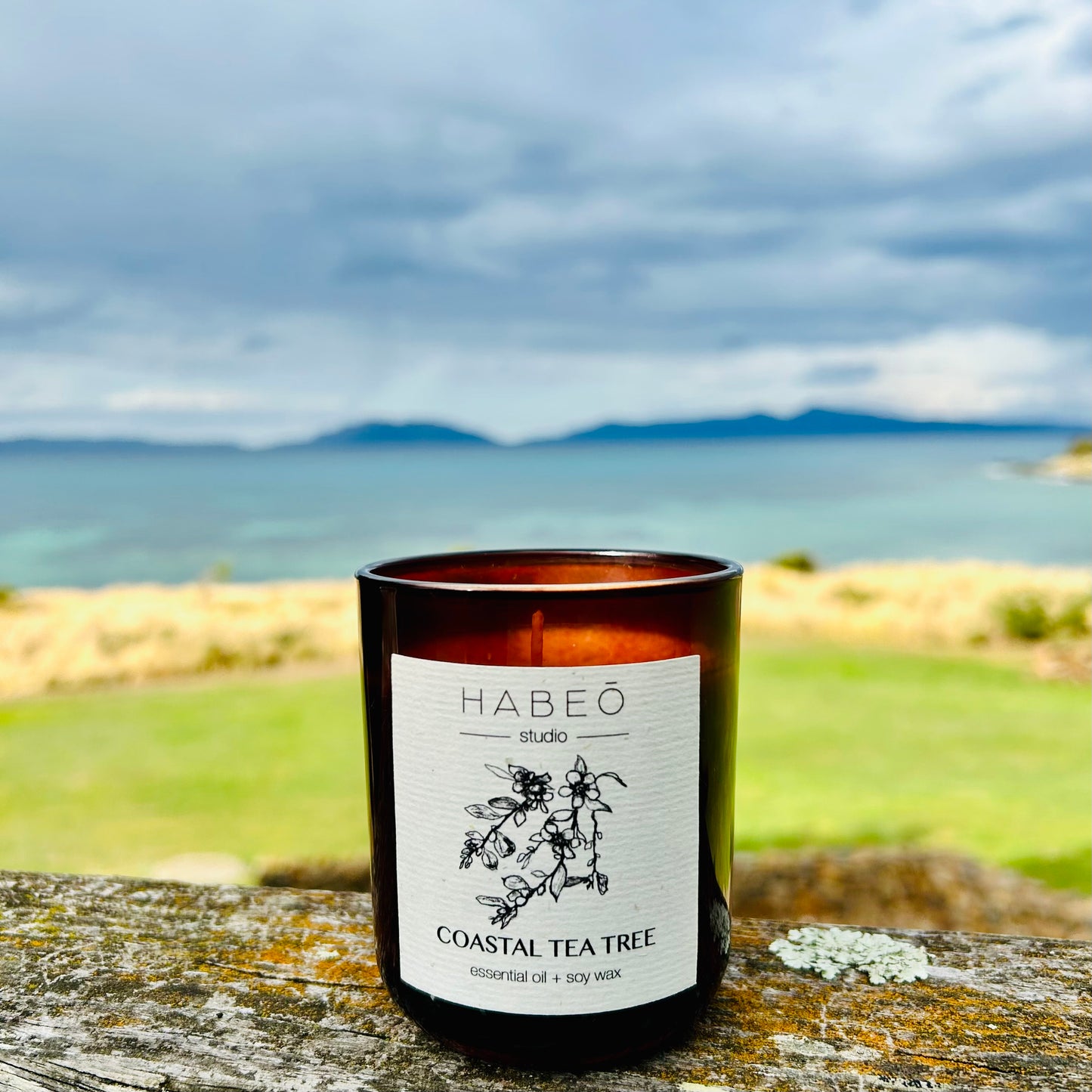 Essential Oil Candle - Coastal Tea Tree