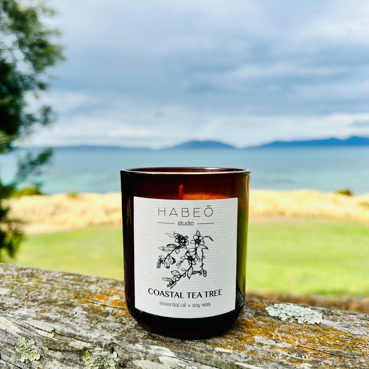 Essential Oil Candle - Coastal Tea Tree
