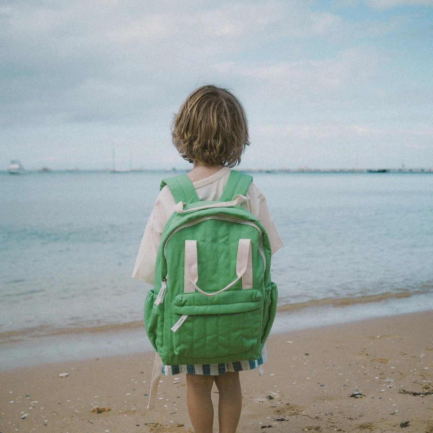 Apple Everyday Backpack