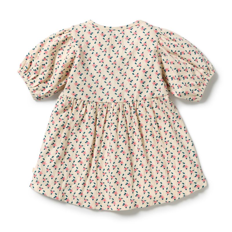 Little Blossom Organic Crinkle Button Baby Dress