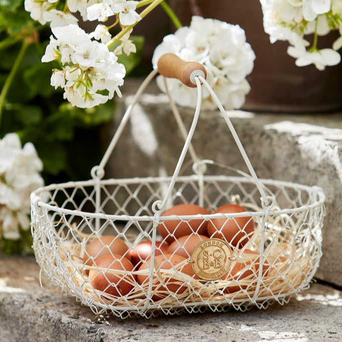 Harvesting Basket Buttermilk