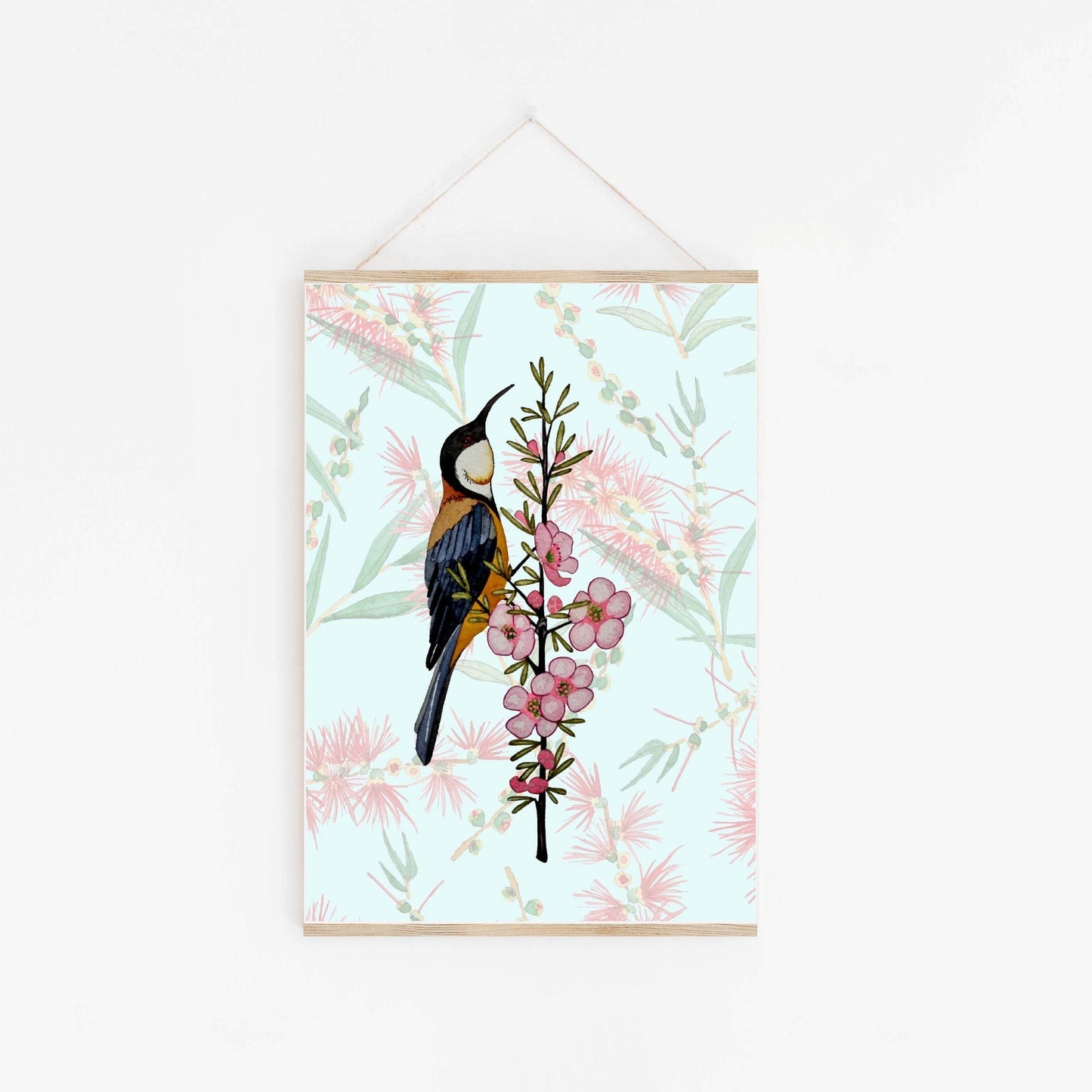 Spinebill Honey Eater & Manuka Art Print