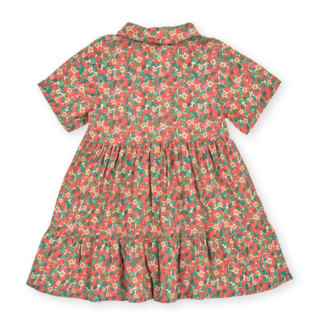Strawberry Monica Kids Dress