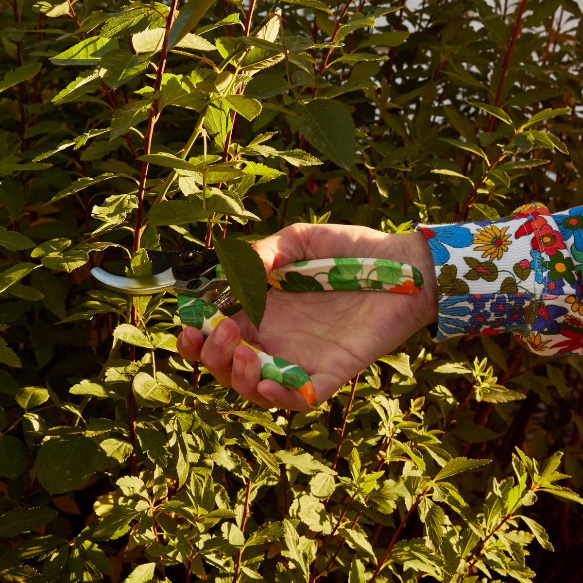 Nasturtium Garden Secateurs and Gloves Set