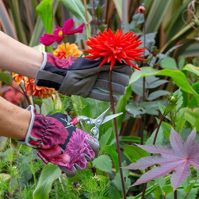 British Bloom Gardening Gloves