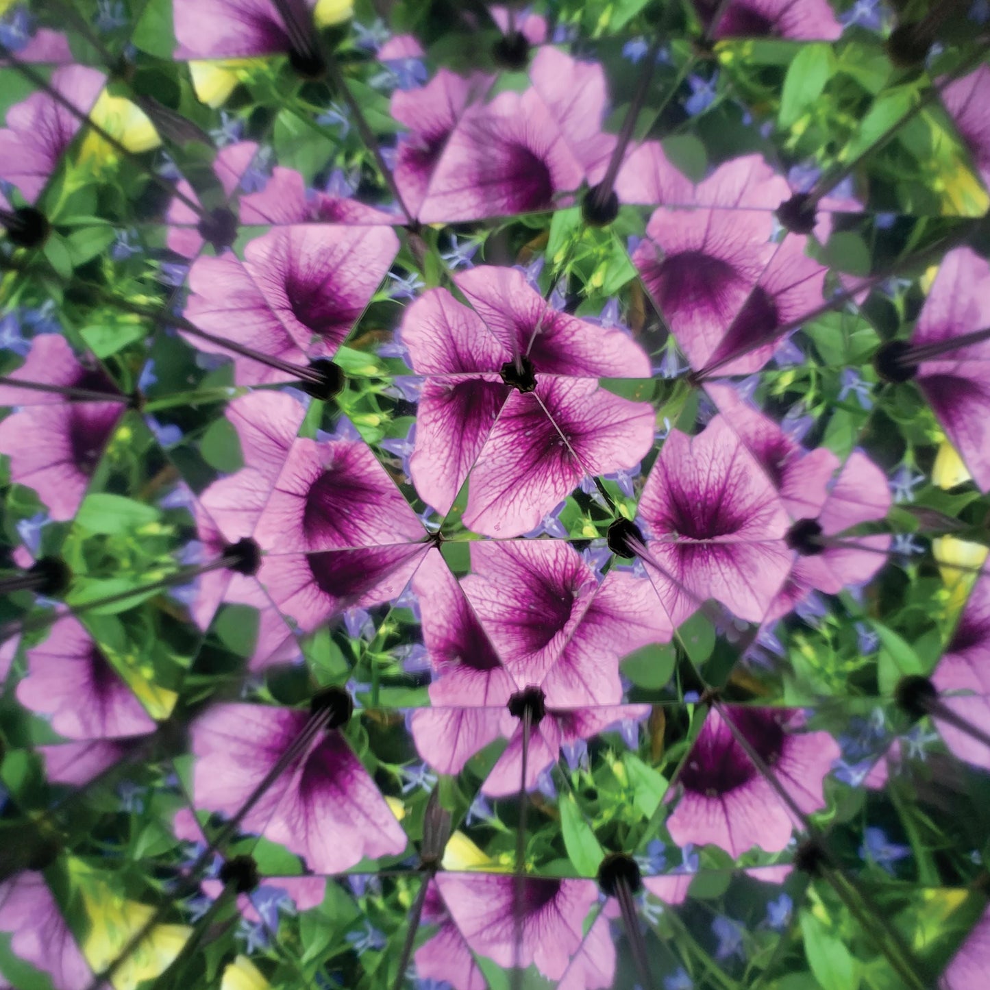 Great Outdoors Kaleidoscope