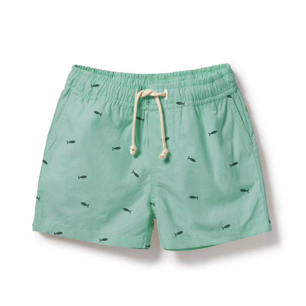 Swim Along Swim Baby & Kids Board Short