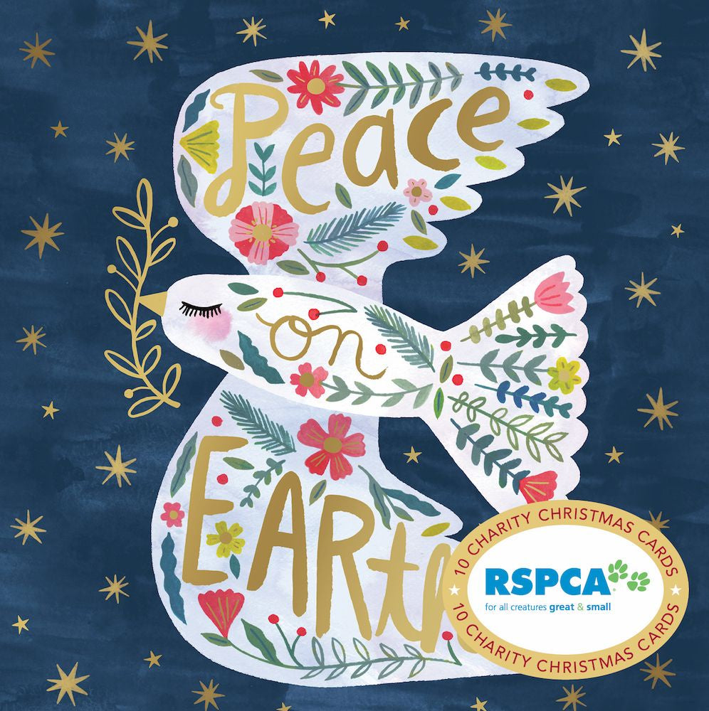Peace on Earth Charity Cards Set of 10