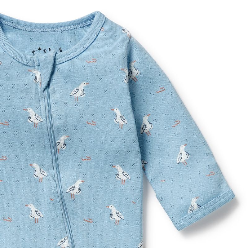Sunny Seagulls Organic Pointelle Zipsuit