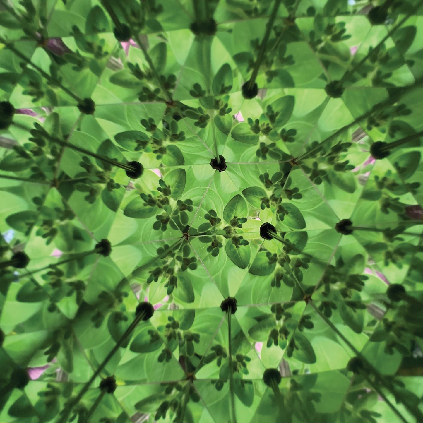 Great Outdoors Kaleidoscope