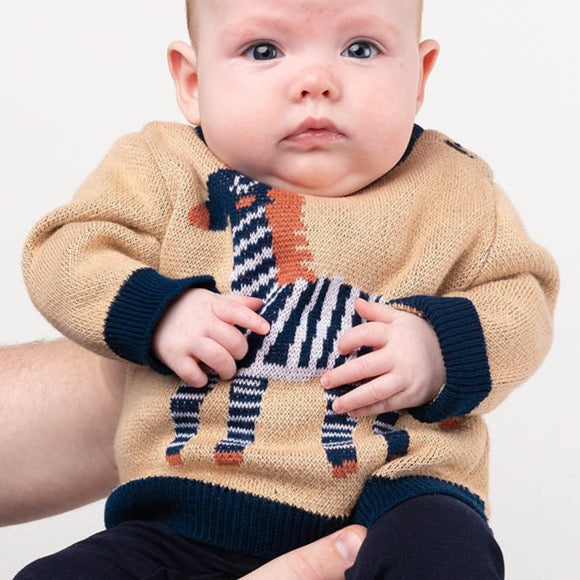 Zebra Baby Jumper