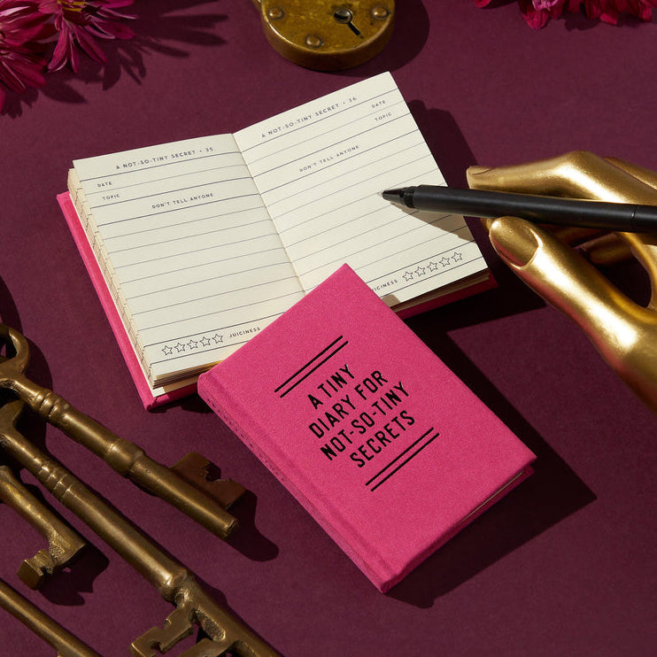 A Tiny Diary For Not So Tiny Secrets Mini Notebook