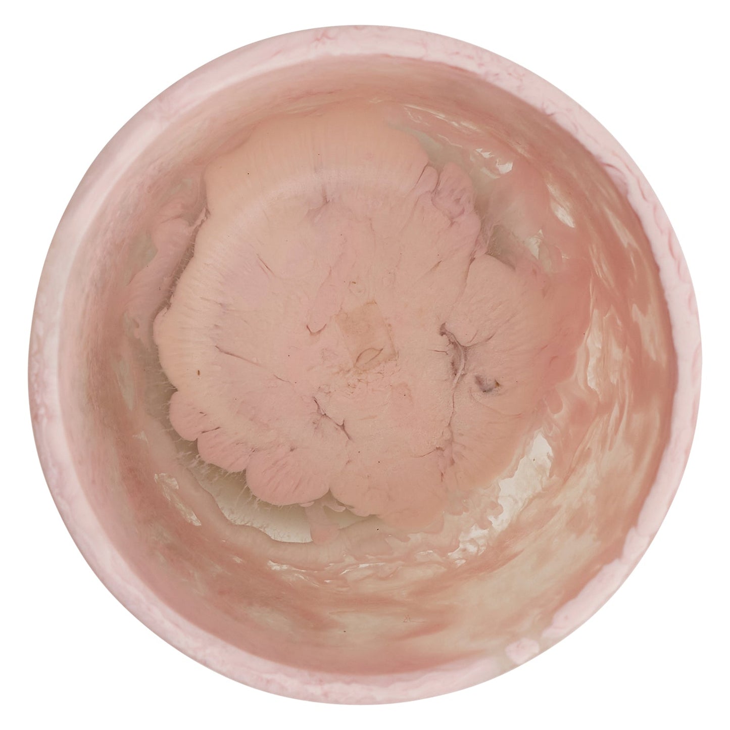 Amisha Vase Posy