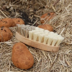 Vegetable Brush