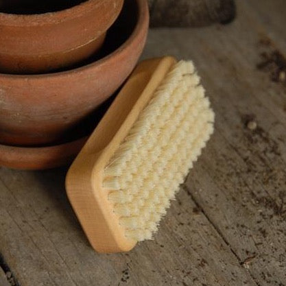 Gardener's Nail Brush
