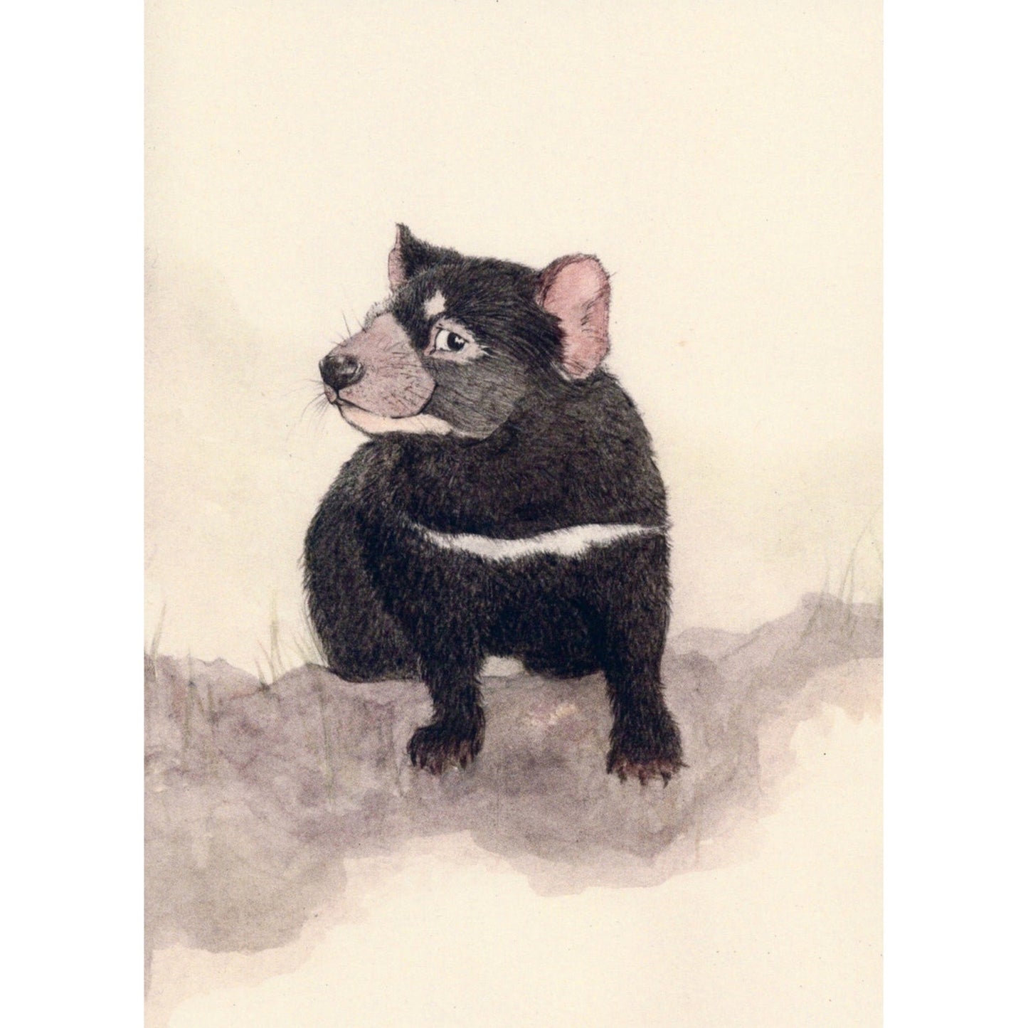 Tassie Devil Greeting Card