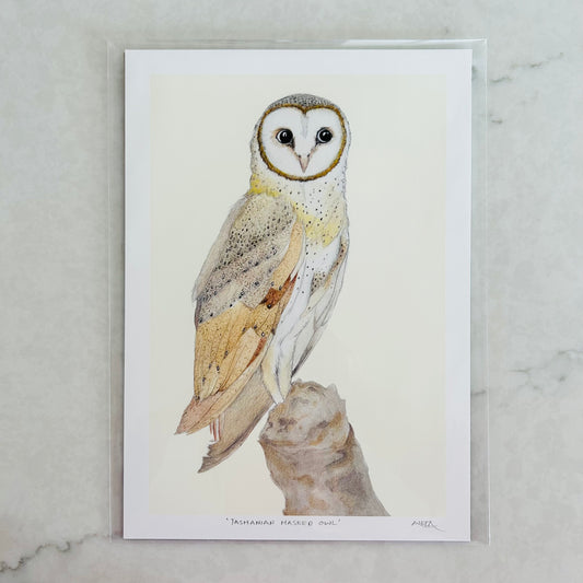 Tasmanian Masked Owl Art Print