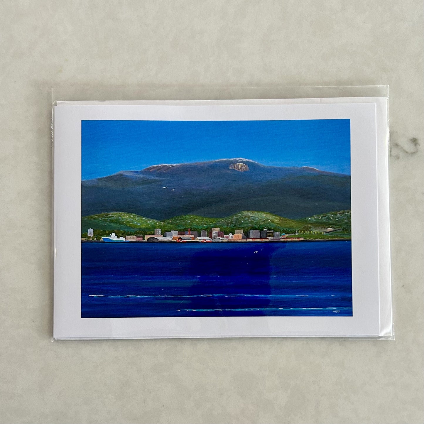 Last of the Snow Greeting Card