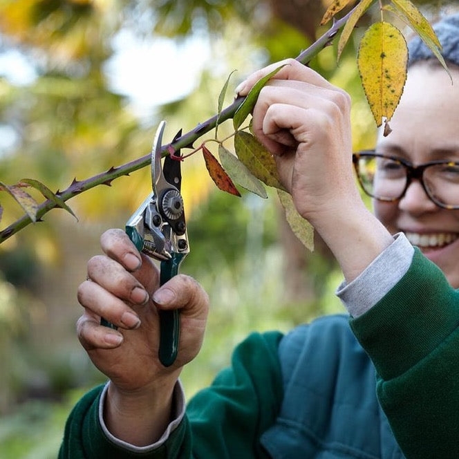 Pocket Pruner
