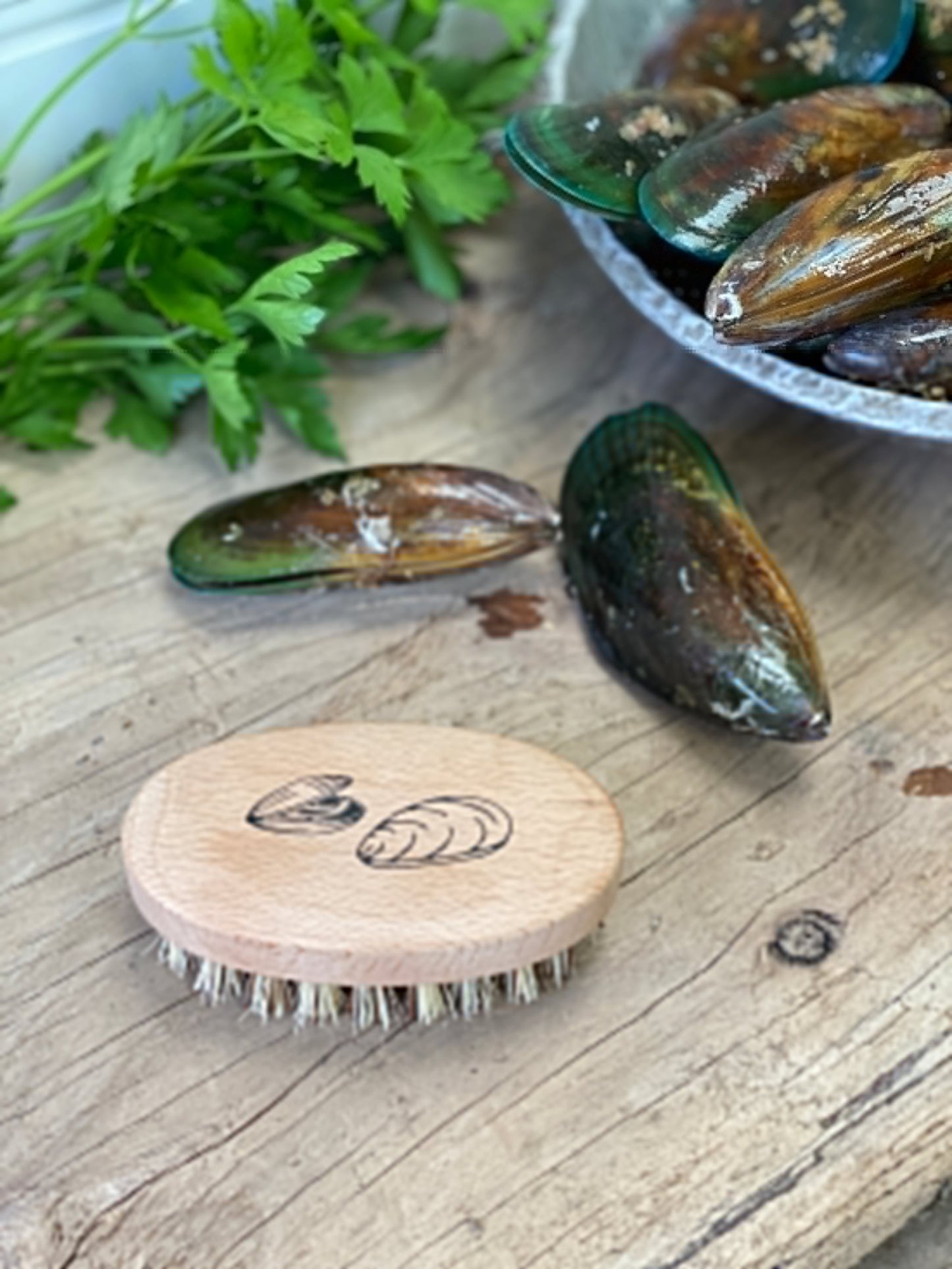 Shellfish Brush