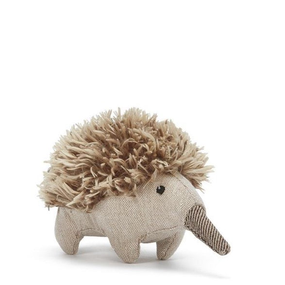 Mini Spike the Echidna