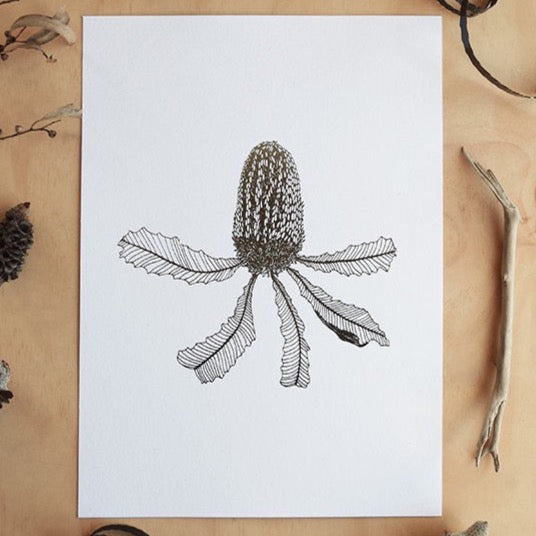 Dreamy Banksia Art Print