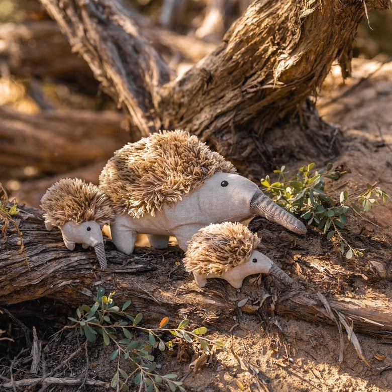 Mini Spike the Echidna