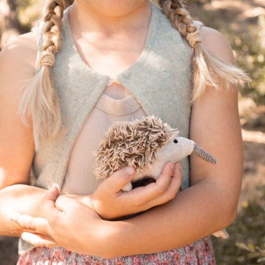 Mini Spike the Echidna