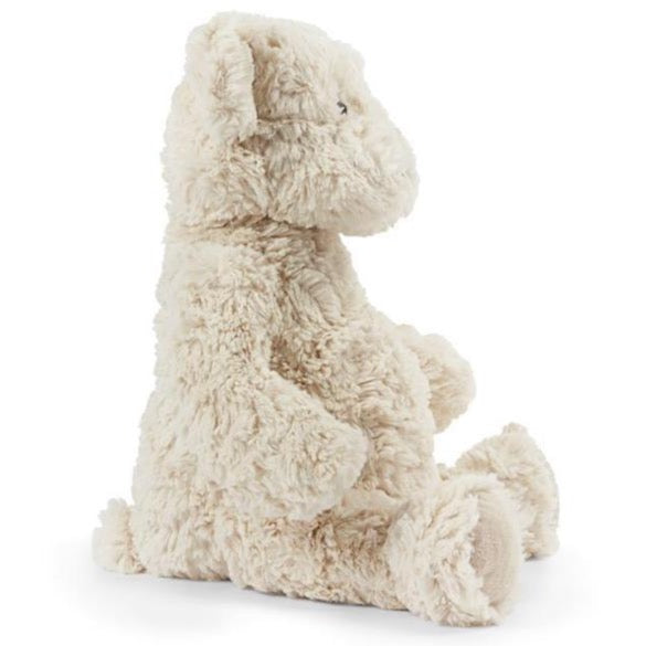 Freddy The Teddy - Cream