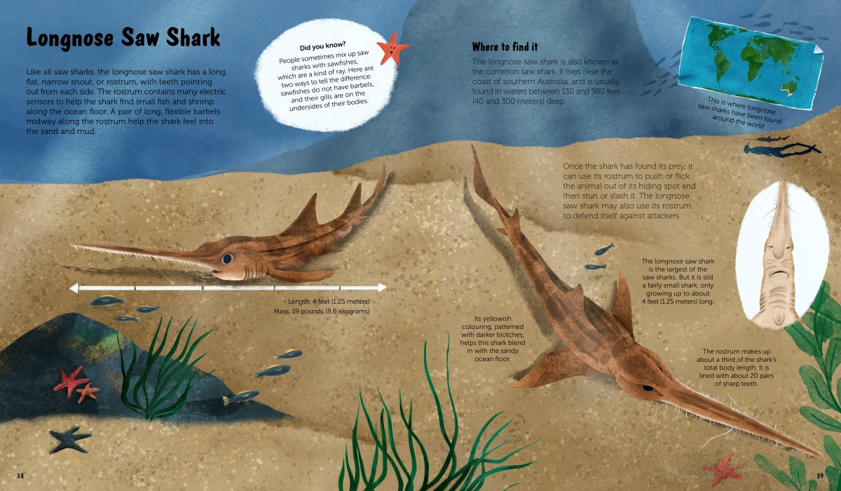 The World of Sharks