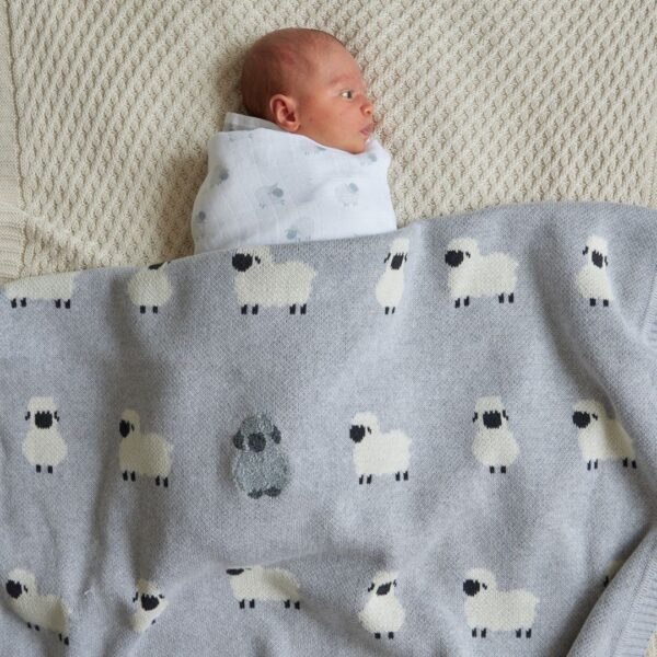 Little Meadows Baby Blanket