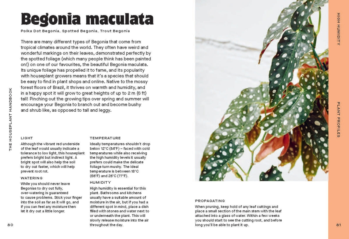 The Houseplant Handbook