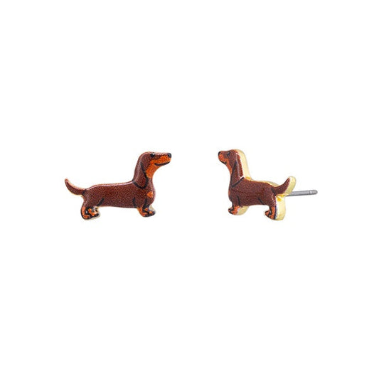 Chocolate Dachshund  Studs