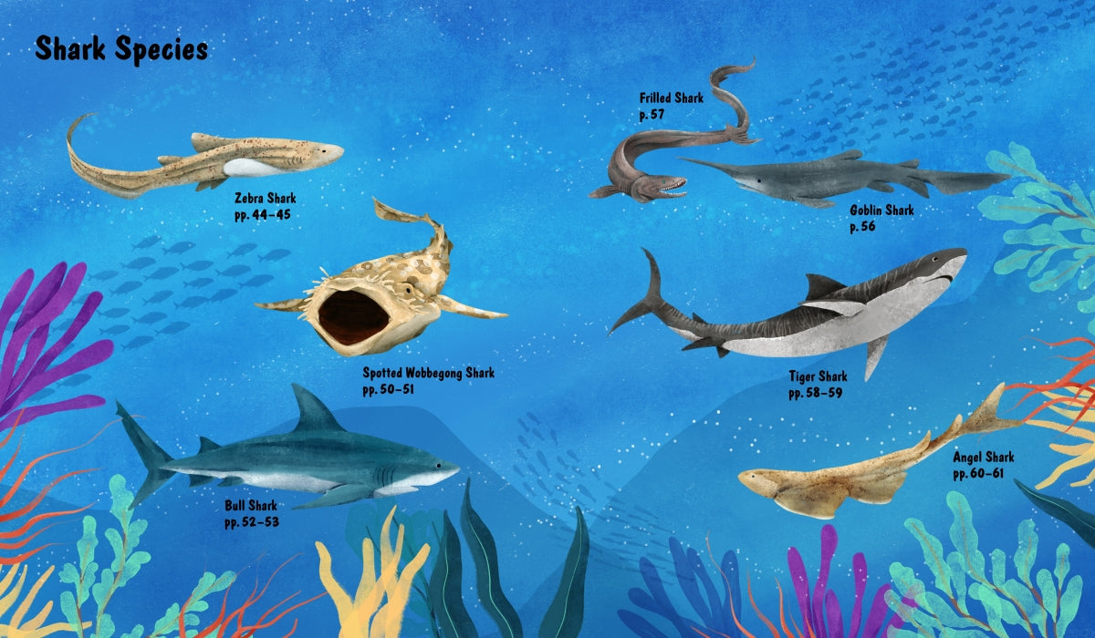 The World of Sharks