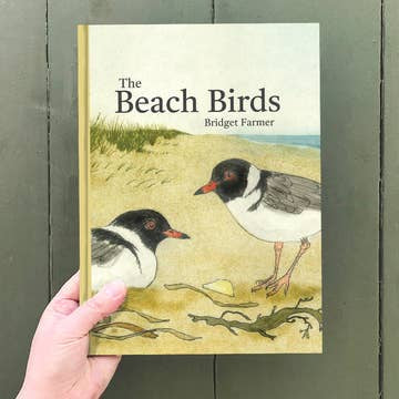 The Beach Birds Lift The Flap Book