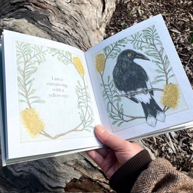 I Am A Magpie, I Am A Currawong