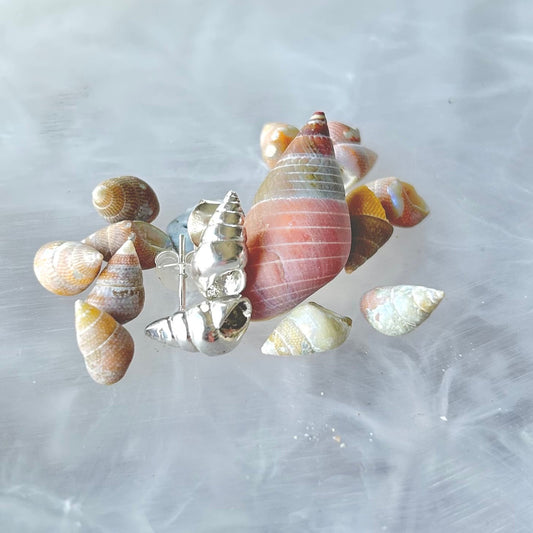 Maireener Shell Silver Studs