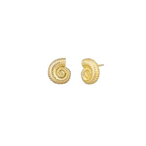 Sundial Shell Gold Earrings