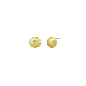 Scallop Gold Stud Earrings