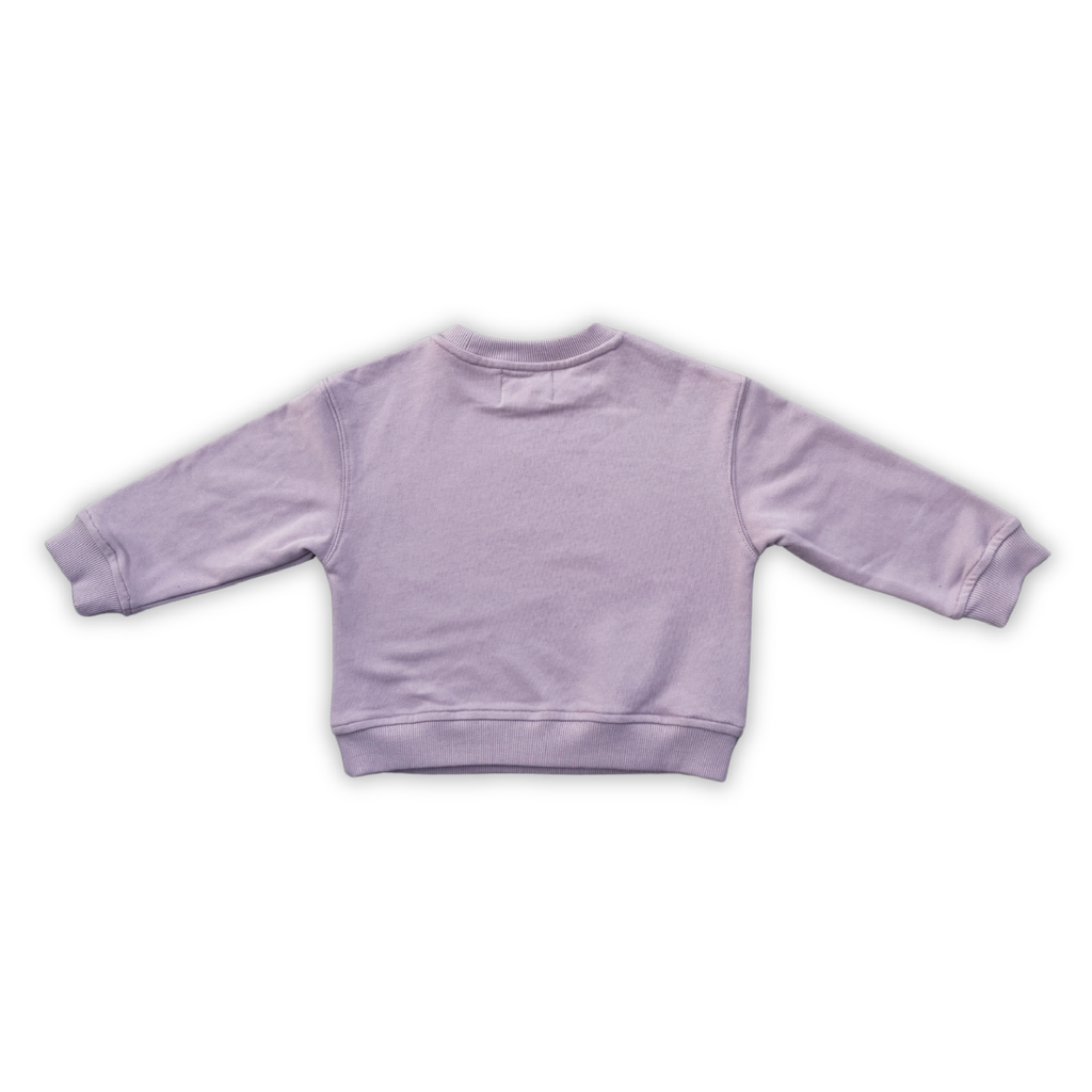 Parrot Fish Grape Kids Jumper