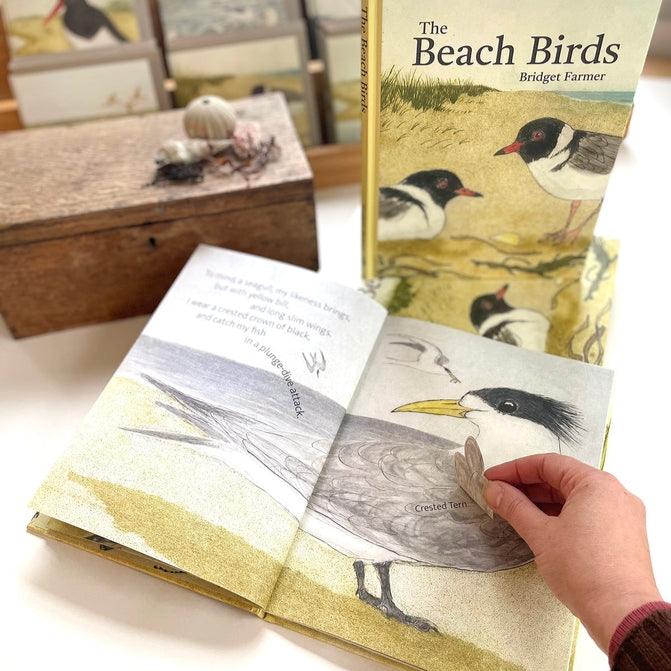 The Beach Birds Lift The Flap Book