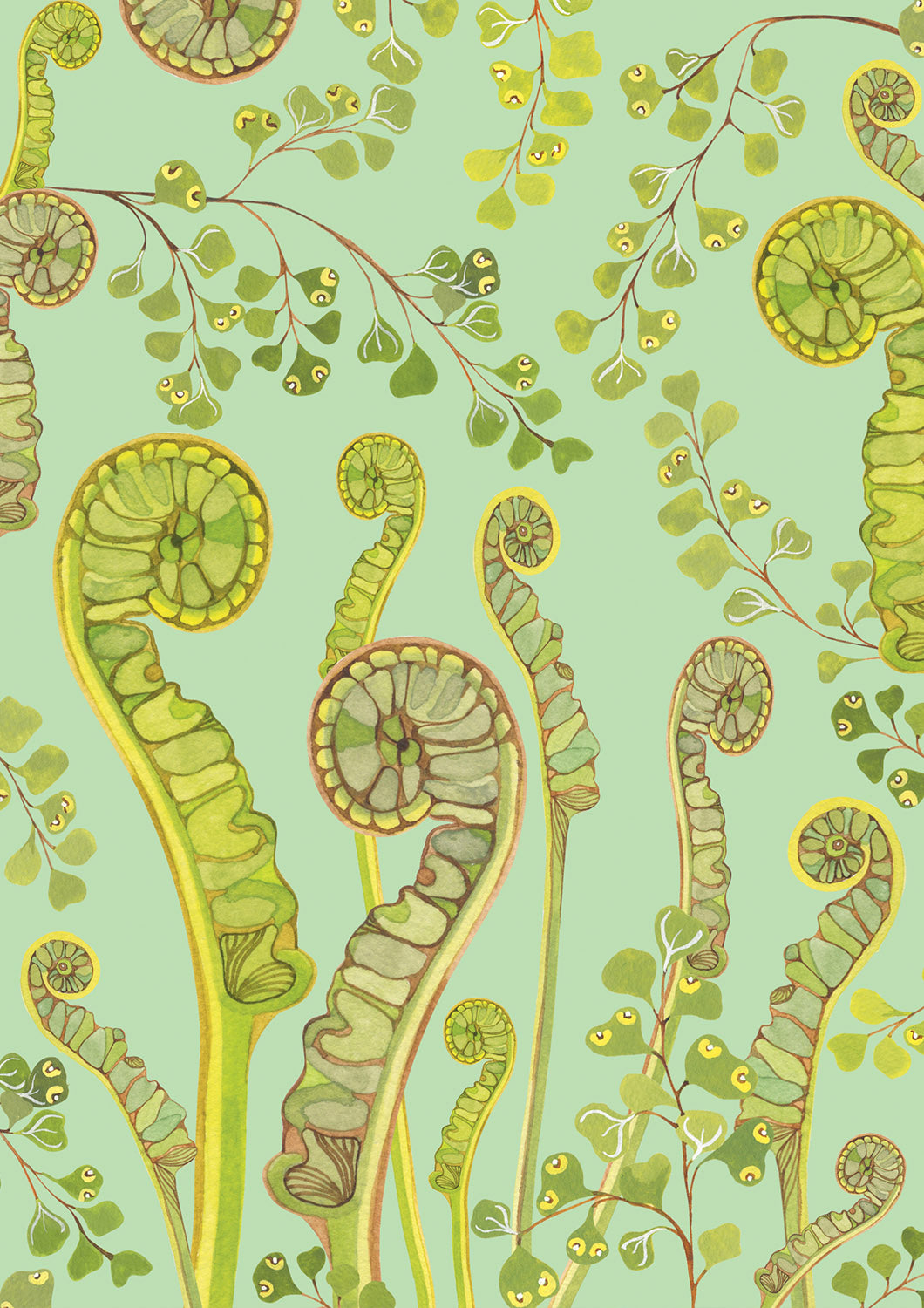 Forest Ferns Greeting Card