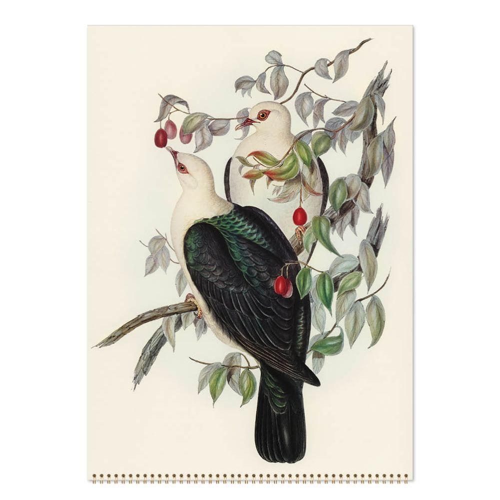 John Gould Australian Birds 2027 Calendar